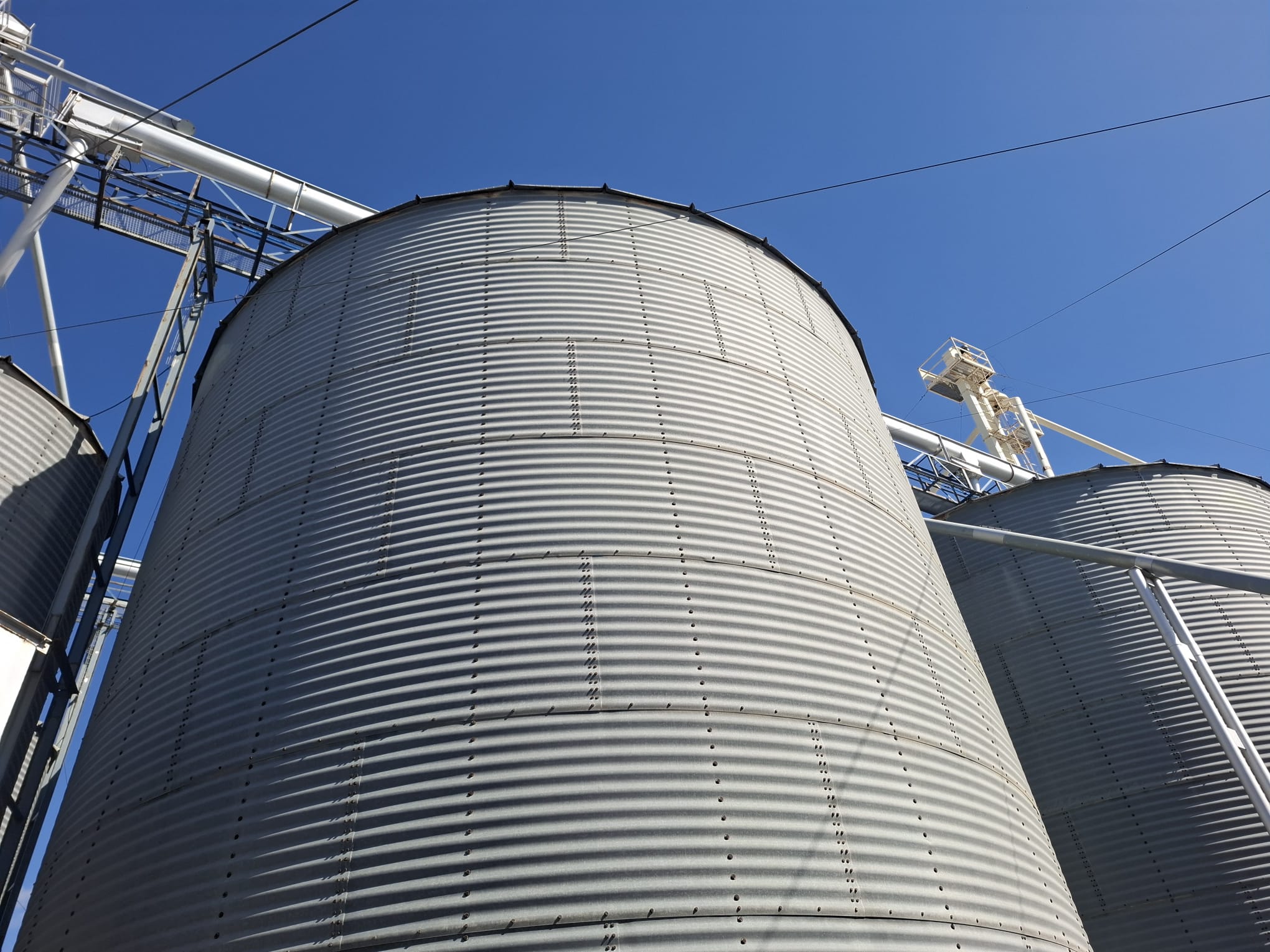 SILOS1