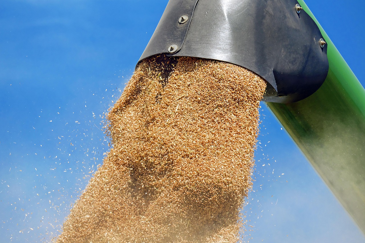 wheat-1508654_1280 Control Calidad